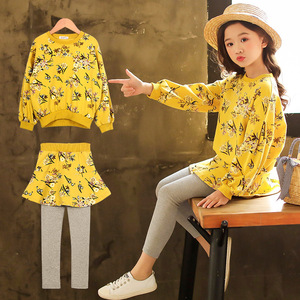 Nuevos Productos: Vestidos de Otoño para Niñas al Estilo Occidental o Trajes para Niñas en Varios Tamaños del Mercado Chino - Product Image 3