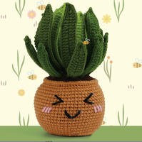 Ensemble de démarrage pour crochet et tricot pour adultes Kit d'artisanat textile pour cactus et plantes pour débutants