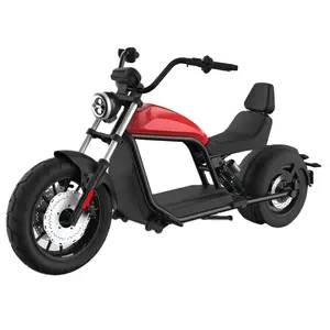 2021新优质斩波器型号HL-6.0 2000W 20AH/30AH/45AH电动踏板车2轮citycoco成人