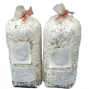 PP Material 3 Mil Mushroom Grow Bags Mushroom Filter Bags