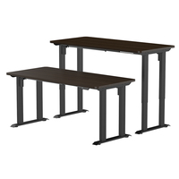Usage domestique Table ergonomique intelligente Offres Spéciales hauteur réglable bureau électrique ordinateur de levage bureau debout 4 pieds mobilier de bureau