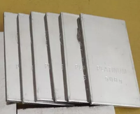 Les meilleurs lingots d'anode fabriqués en Chine lingots de platine de métal précieux de haute pureté