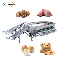 Automatisch rollen sorteersysteem met hoge capaciteit voor het sorteren van radijs, aardappel en andere fruit- en wortelgewassen.