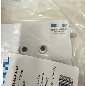 DFM-25-30-<span class=keywords><strong>P</strong></span>-A-GF 170849 シリンダー DFM2530PAGF - Product Image 1