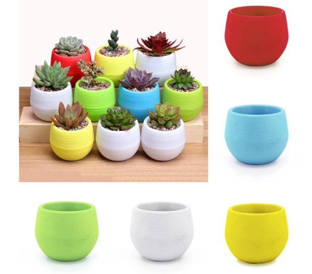 Plantes succulentes, Pots de pépinière en plastique coloré, Mini Pots de fleurs pour la maison