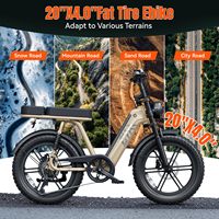 Vélo électrique R7 Fatbike 48V au lithium, vélo de montagne électrique sportif, cadre en acier de 20 pouces, pneus larges, vélo électrique VTT, vélo électrique