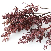 Seri dekorasi rumah kehidupan abadi hitam buah Elderberry dan bunga ionicera untuk Natal dan Hari Ibu