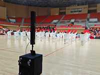 Usine PA Vente en Gros Colonne Line Array Portable Étanche CV4054 200W pour Événements et Conférences