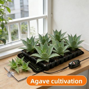 X144 Venta al por mayor de fábrica: Tapete calefactor eléctrico impermeable de 20*10 pulgadas para <span class=keywords><strong>cultivo</strong></span> de plántulas y suministros de jardinería - Product Image 1