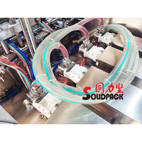 Machines de remplissage de mastic de pneu Solidpack pour colle liquide pvc