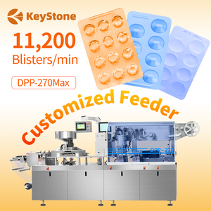 Máquina Selladora de Blíster Automática DPP 250 de 6 Estaciones - Product Image 1