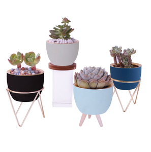 Mini <span class=keywords><strong>pot</strong></span> <span class=keywords><strong>de</strong></span> plante succulente décoratif, <span class=keywords><strong>pot</strong></span> <span class=keywords><strong>de</strong></span> fleurs en céramique pour jardin <span class=keywords><strong>de</strong></span> cactus, <span class=keywords><strong>cache</strong></span>-<span class=keywords><strong>pot</strong></span> <span class=keywords><strong>de</strong></span> bureau pour hôtel - Product Image 6