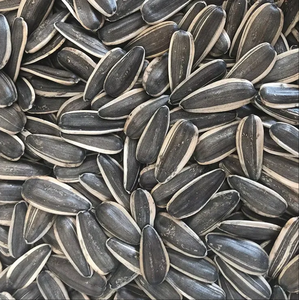 بذور عباد الشمس عالية الجودة بالجملة بذور البطيخ مورد رخيص - Product Image 4