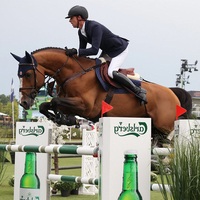 Obstacles équestres de haute qualité Poteaux en bois avec extrémités en métal Tailles personnalisées durables Prix d'usine Sauts de spectacle équestre