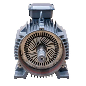 Motor de Reluctancia Síncrona SynRM 48V-72V AC380V IE5 2.0KW-75kW 3000rpm, 2 N.m de Torque, Bajo Consumo de Energía, Controlador de Arranque - Product Image 2