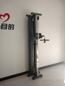 Equipo de Gimnasio de Alta Calidad, Estación de Pesas Multifuncional con Cable/Máquina de Polea para Ejercicios de Dorsal - Product Image 5