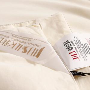 Handmade 100% Silk Casing Suzhou Wholesale High Density Mulberry Silk <strong>Duvet</strong> for Sale - Product Image 3