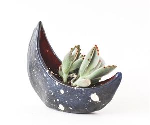 Fioriera creativa a forma di luna <span class=keywords><strong>vaso</strong></span> per <span class=keywords><strong>piante</strong></span> in ceramica <span class=keywords><strong>vaso</strong></span> per Cactus succulente in ceramica <span class=keywords><strong>vaso</strong></span> per fiori utilizzato <span class=keywords><strong>con</strong></span> fiore/pianta verde - Product Image 2