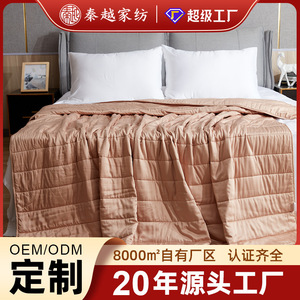 Edredón de Seda 2.1-3 Jin, 100% Seda, Transpirable, Estilo Moderno, para Todas las Estaciones, Edredón para Madre e Hijo - Product Image 5