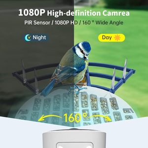 Mangeoire à <span class=keywords><strong>oiseaux</strong></span> intelligente AI moderne de luxe avec caméra, alimentée par batterie solaire, en PP, pour <span class=keywords><strong>oiseaux</strong></span> - Product Image 3