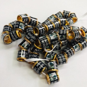 2025台湾DVアルミプラスチックレーシングピジョンリングプレミアムペットアクセサリー - Product Image 5