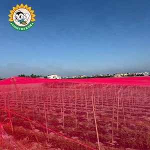 Filet anti-insectes respirant pour serre, pour l'agriculture biologique, la conversion de l'énergie solaire et l'ombrage des jardins - Product Image 6