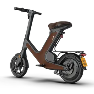 Phoenix Magnesium Alloy Frame 3-Speed 48v * 400w Motor 48v/10.4 Hour Lithium Battery Electric Scooter