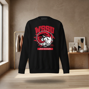 เสื้อสเวตเชิ้ตพรีเมียม WSSU Winston Salem State University เสื้อฮู้ดดี้แบบกำหนดเองสำหรับวิทยาลัย ผ้าฟลีซ ยูนิเซ็กซ์ ผ้าฝ้าย 100% สไตล์สตรีท OEM HBCU - Product Image 3