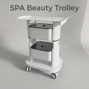 Chariot de Salon Multifonctionnel pour Outils de Beauté, Coiffure, SPA et Manucure avec Rangement - Product Image 2
