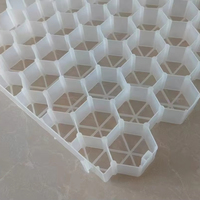 Grille géotextile plate en HDPE/PP blanche de 48 mm pour allée, stabilisateur de sol, drainage, barrage, grille de pavage perméable