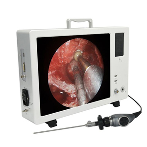 Macchina fotografica portatile dell'endoscopio 4k interamente In 1 Cy9119 per cistoscopio/isteroscopio/laparoscopio/artroscopio/endoscopio/endoscopio - Product Image 2