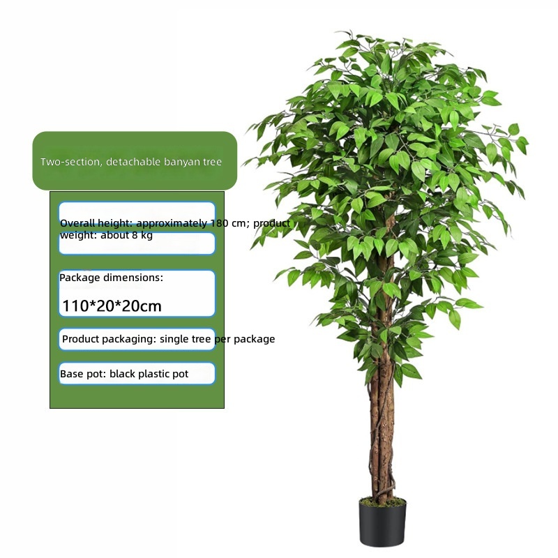 9000.00g section disassembly and assembly simulation banyan tree
