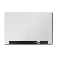 Monitor LCD TFT Microtech de 17 Pulgadas, Resolución 2560x1600, Antideslumbrante, Revestimiento 3H, Interfaz EDP de 40 Pines, Brillo de 600-1000 Nits, para Portátil