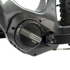Bicicleta de Montaña de 29 Pulgadas y 10 Velocidades, E-MTB con Neumáticos y Doble Freno de Disco, Cuadro de Aluminio de 48V, Bicicleta de Tracción Media Zxc-301 - Product Image 2