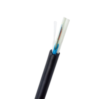 Kabel Optik FCJ OPTO TECH ASU 12/24 Core Stranded Copper G652D dengan Kawat Baja 2 FRP Central Strength Members Flat Aerial FTTH 1km