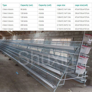 Cage à poulets de type A, 3/4 niveaux, 4 portes, <span class=keywords><strong>pour</strong></span> l'élevage de poulets et la production d'œufs, équipement moderne <span class=keywords><strong>pour</strong></span> ferme avicole, en grillage métallique économique - Product Image 2