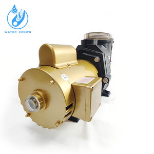 Pompa e Pulitore per Piscina Serie SP ad Alta Efficienza per una Circolazione Affidabile dell'Acqua in Piscine Commerciali, Spa e Piscine Gonfiabili - Product Image 3