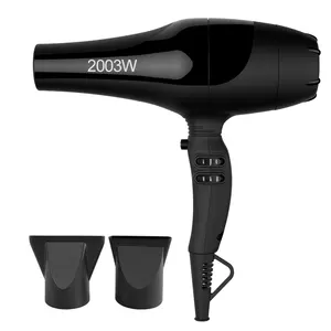 Professional Salon Brushless AC Motor Whisper and Lighter Dryer Home High Power Hair Drier Blow Dryer