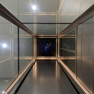 2025 अच्छी कीमत में यात्री लिफ्ट आवासीय विला लिफ्ट आवासीय विला लिफ्ट - Product Image 4