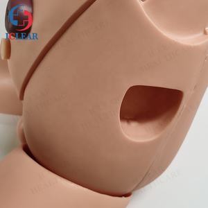 वरिष्ठ महिला जननांग कैथीटेराइजेशन चिकित्सा शिक्षण सिम्युलेटर - Product Image 2