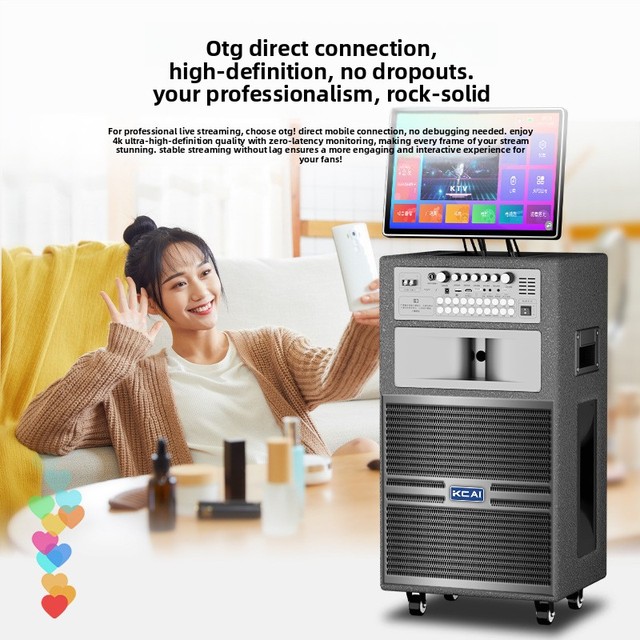 Outdoor Wood Karaoke Square Dance Audio Home Singing KTV Song Selection Speaker Display Screen Wi-Fi Connection Amplifier