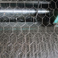 Filet hexagonal galvanisé à triple torsion pour cage à lapins, filet de clôture pour volailles en PVC enduit de plastique