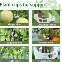 100 attaches de soutien pour plantes, clips réutilisables en plastique pour vignes de jardin, pour légumes et tomates, fournitures de jardinage
