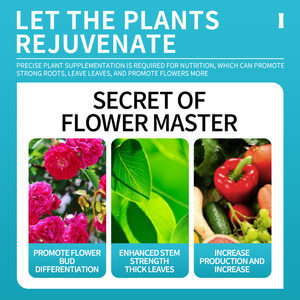 <span class=keywords><strong>Compresse</strong></span> di Fosfato di Potassio per Giardinaggio Domestico, Nutriente a Rilascio Lento per Piante - Product Image 4