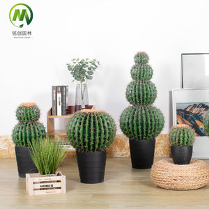 Top Vente <span class=keywords><strong>Cactus</strong></span> Artificiel Balled En Pot Haute Simulation Succulentes Bonsaï <span class=keywords><strong>Prix</strong></span> Usine Faux <span class=keywords><strong>Cactus</strong></span> Plante pour La Décoration - Product Image 2