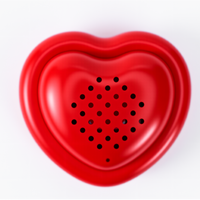 Enregistreur vocal numérique OEM pour capturer les battements cardiaques pendant la grossesse, cadeau pour les baby showers, les anniversaires et les nouvelles mamans