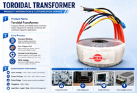 Transformateur toroïdal personnalisé 1W - 300W, alimentation pour équipement audio, faible bruit, pour amplificateur de haut-parleurs HiFi