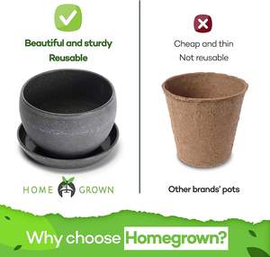 Promotion Kit Complet <span class=keywords><strong>de</strong></span> Bonsaï Biologique, Kit <span class=keywords><strong>de</strong></span> Démarrage <span class=keywords><strong>de</strong></span> Bonsaï, Jardin Intérieur, Kit <span class=keywords><strong>de</strong></span> Démarrage <span class=keywords><strong>de</strong></span> Jardinage, Cadeaux <span class=keywords><strong>de</strong></span> Jardinage <span class=keywords><strong>pour</strong></span> Femmes et Hommes - Product Image 4