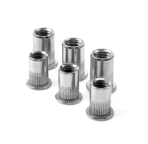 Thép carbon mạ kẽm với Vàng kẽm SP S CLS CLA SMPS mô hình dọc đinh tán NUT - Product Image 4