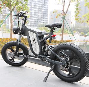 Factory OEM ODM Customized 48V 60V 500W <b>1000W</b> Adult Fat Tire <b>Ebike</b> Dirt Mountain Bike KKCEB-20 Dirt Bike Factory OEM ODM - Product Image 5